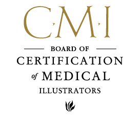 CMI, Board of Certification of Medical Illustrators