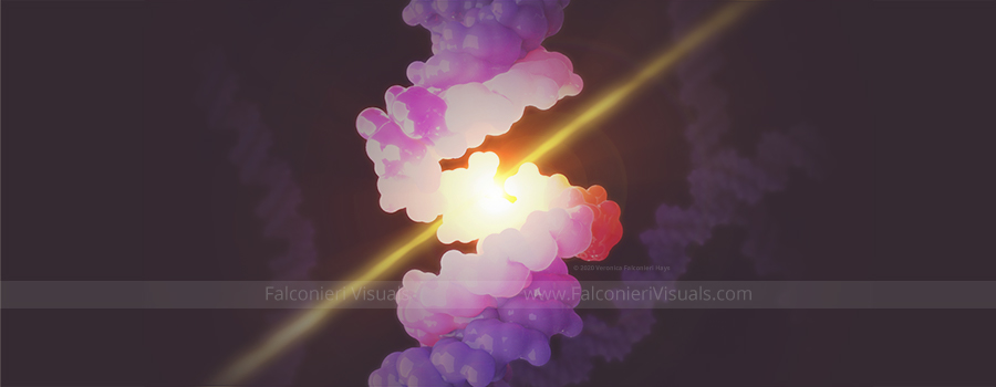 DNA breaks as it is struck by gamma ray