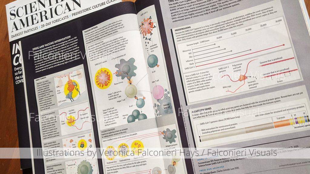 An image of Scientific American (July 2020 issue) with additional illustrations of the virus