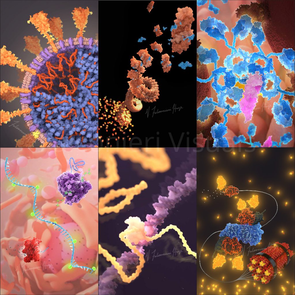 A mosaic of six scientific illustrations; detailed descriptions in text that follows.