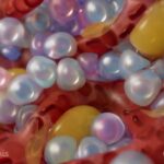 Bone marrow cells 3D render